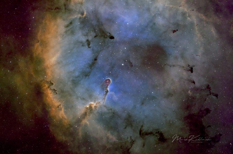 Elephant-with-stars-copy